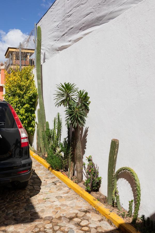 Siento Oaxaca Apartment ภายนอก รูปภาพ