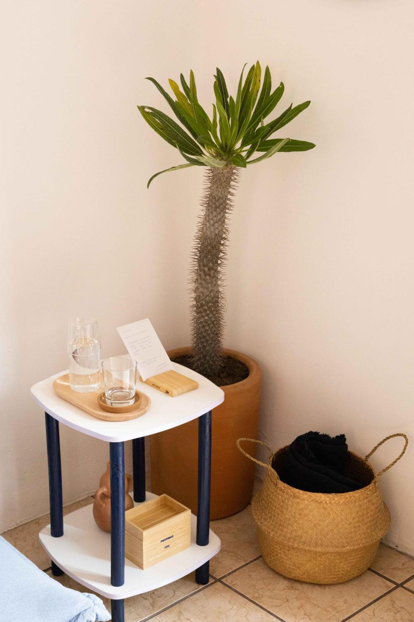 Siento Oaxaca Apartment ภายนอก รูปภาพ